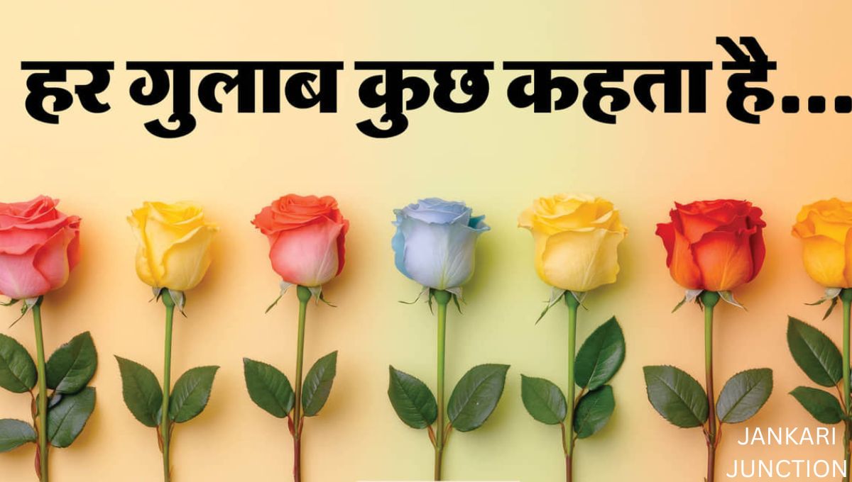 Rose Day 2026